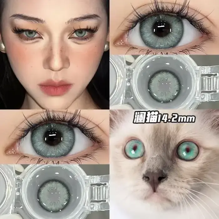 1 paire de lentilles de Contact bleues