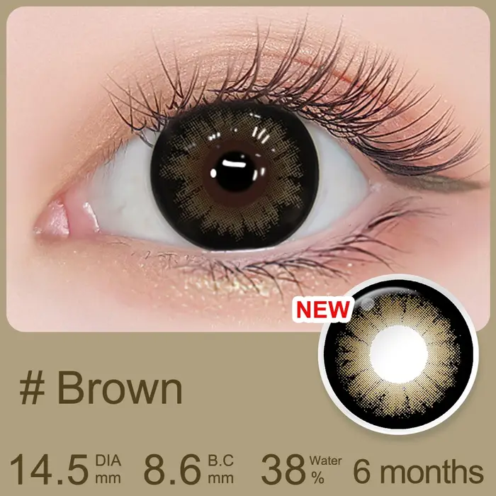 (0.00~-6.00) MAGISTER Lentilles de contact graduées à grand effet de dilatation 16.0mm