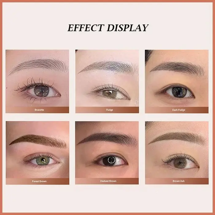 Pigments de maquillage permanents de qualité supérieure