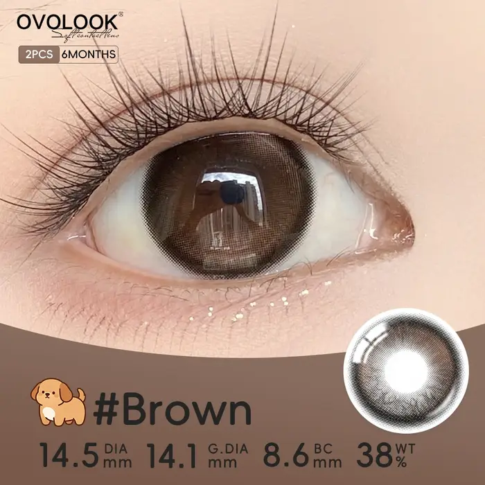 Lentilles de contact souples OVOLOOK couleur ambre naturel chaud et lumineux pour débutants