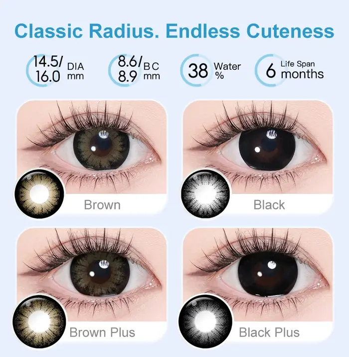 (0.00~-6.00) MAGISTER Lentilles de contact graduées à grand effet de dilatation 16.0mm