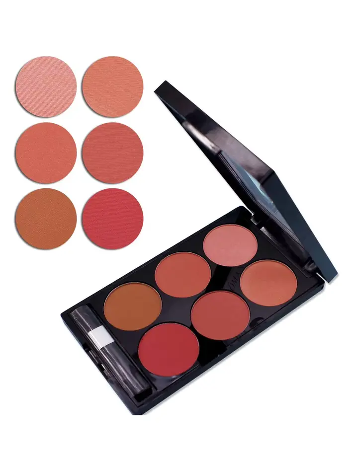 Palette tout-en-un de fard à joues et de contour de 6 couleurs