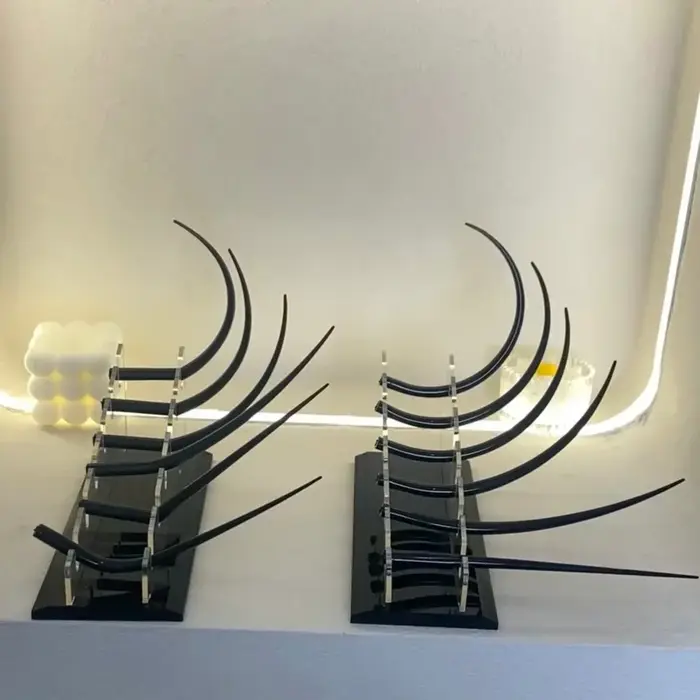 Extensions de cils modèle formation