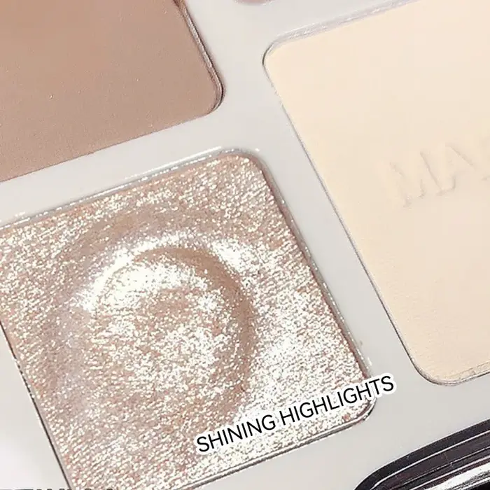 Palette de poudre pour le visage stéréoscopique naturelle
