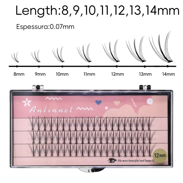Anlinnet 60 bouquets de cils en forme de sandwich