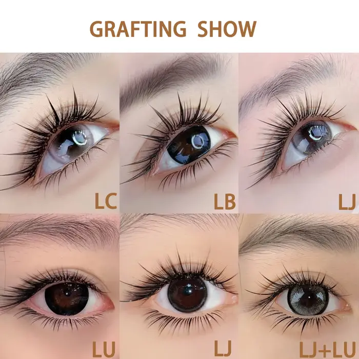 Domi Faux vison Faux Extensions de cils individuels LB LC LD LJ LU Curl Mix haute qualité Faux Camélia facile préfabriqué cils en éventail