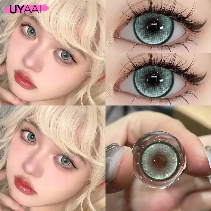 Lentilles Vertes Grises et Vertes