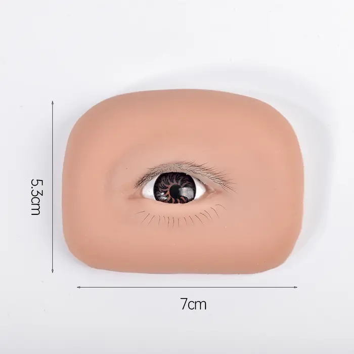 Outil de pratique d'extension de cils