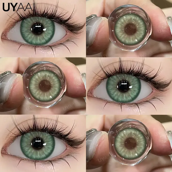 Lentilles Vertes Grises et Vertes