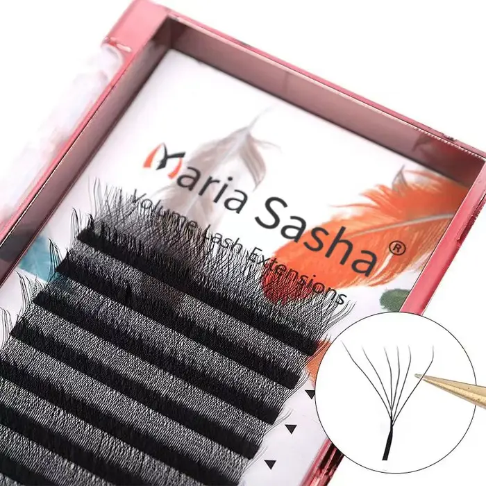 MARIA 6D W Style Extensions de cils fournitures facile ventilateur cils en gros préfabriqué Volume 1