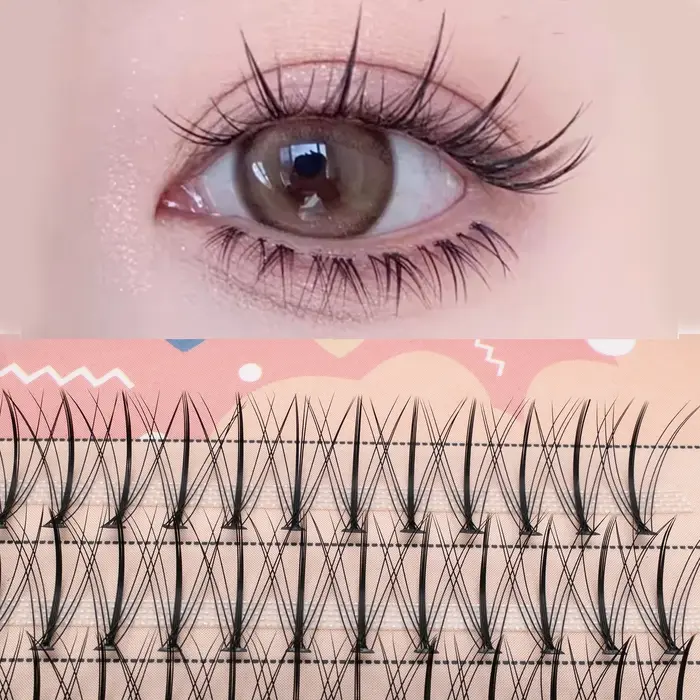 Anlinnet 60 bouquets de cils en forme de sandwich