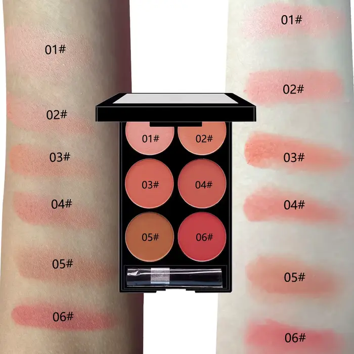Palette tout-en-un de fard à joues et de contour de 6 couleurs