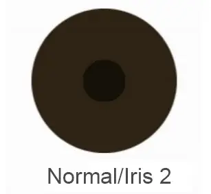 Lentilles de contact prothétiques pour les personnes souffrant de troubles oculaires